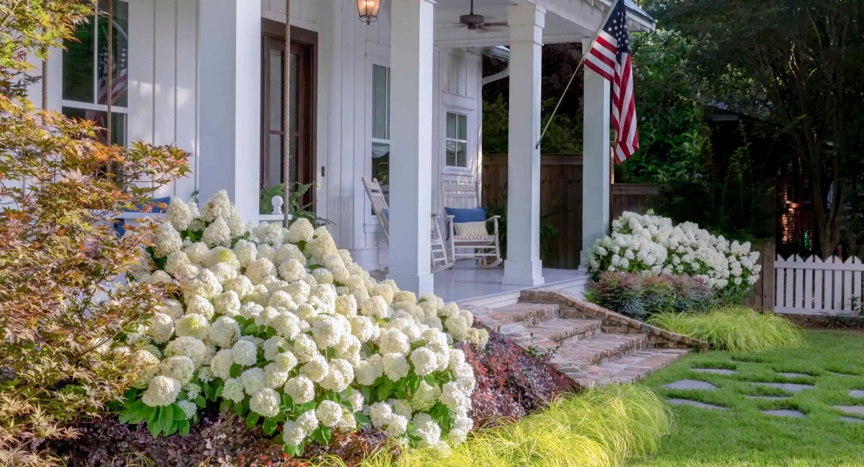 White Wedding Hydrangea